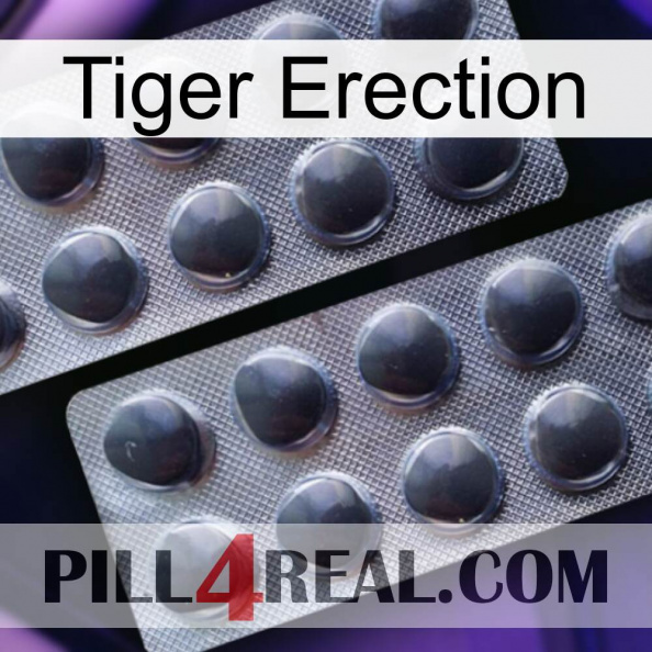 Tiger Erection 31.jpg